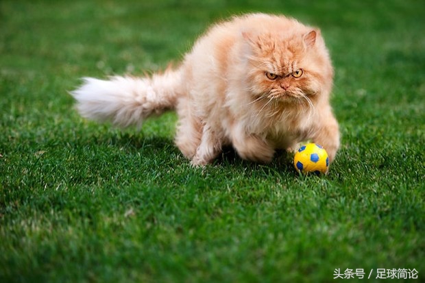 当足球遇上古诗词阿森纳,当足球遇上古诗词