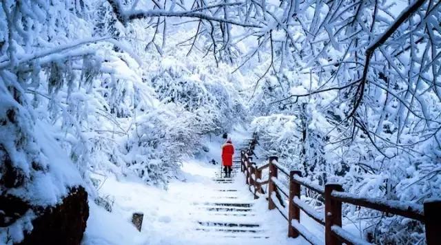 成都周边看雪滑雪的地方 (成都周边滑雪泡温泉好去处)