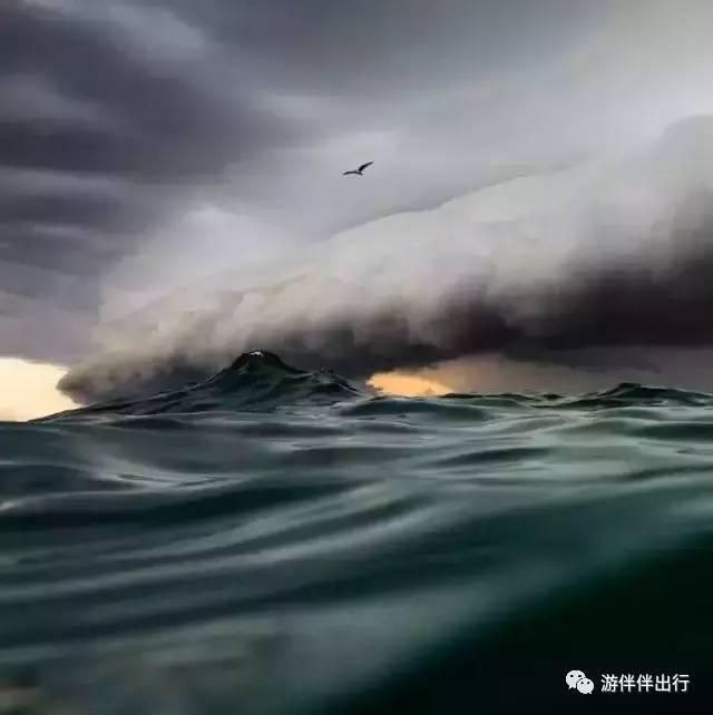 游伴伴|2016年最让人叹为观止的照片!