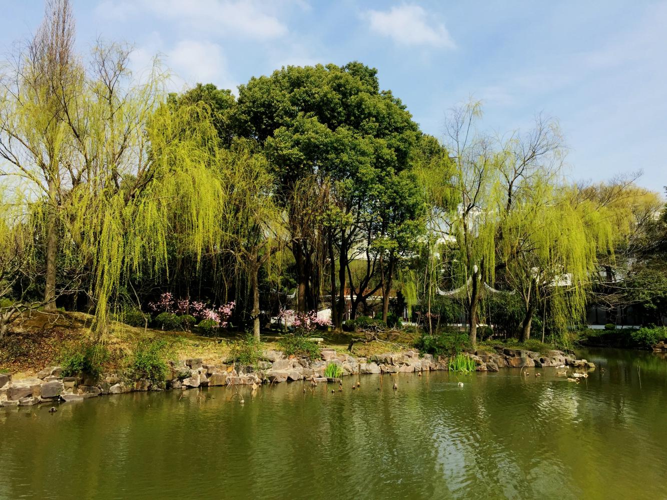 澶粨鍗楀洯鍘嗗彶鑳屾櫙,鍥捐澶粨鍘嗗彶