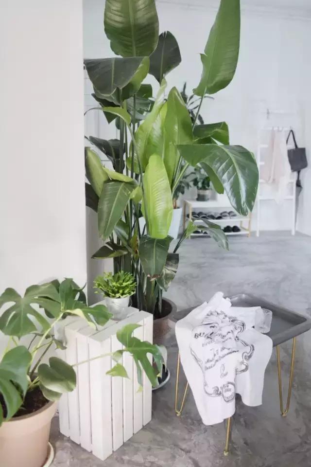 airbnb上订的民宿和房东一起住吗,airbnb十大最受欢迎住宿