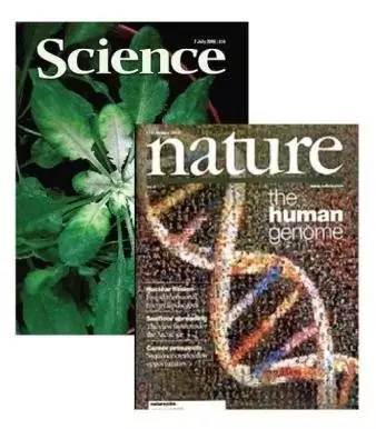 他被纳粹*害迫**,“玩拼图”玩出诺贝尔奖,打脸《Nature》