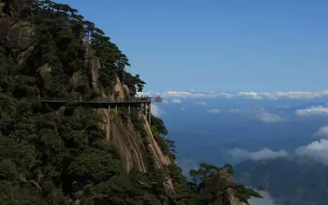 积极教育力训练,积极教育主要是教什么