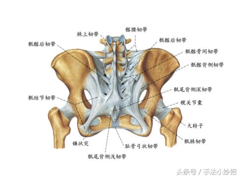 臀上皮神经损伤怎么松解比较好,臀上皮神经完全坏死的症状
