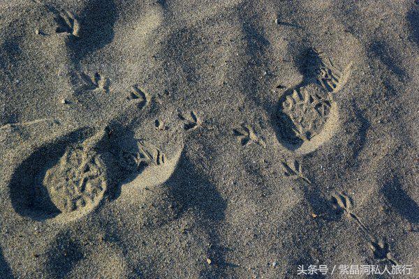 大江户温泉上海大场,日本热海大江户温泉