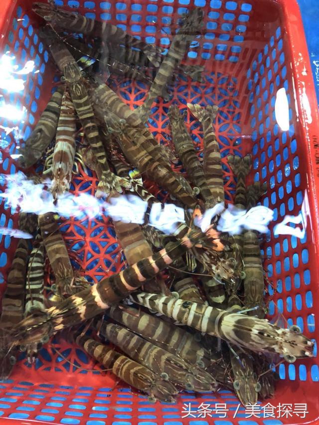 海口一座充满回忆的城市,海口的城市记忆