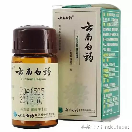 养狗需要准备什么药物,养狗必备3种常用药物图片