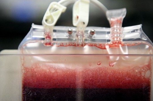 构建全球最大的脐带血库南京新百打造“大健康”平台