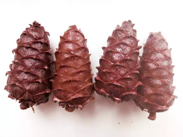 这些是今年最好吃的圣诞礼物，梦厂都给你整理好了！