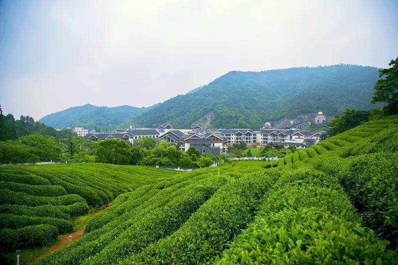 暖心美宿+养生温泉，寒冬和这家高逼格酒店简直绝配！「浙里温暖NO.2」