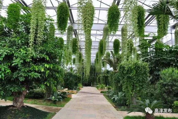 中国农村看浙江还是看福建,中国人看江苏农村