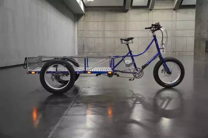 这世界上最便宜的自行车,最贵的自行车是什么品牌