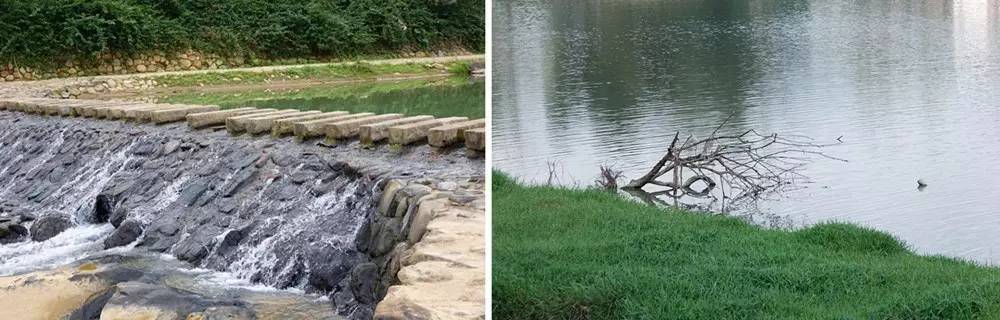 一个长得像李小龙的男人，在长泰一村子里，建了个千与千寻的奇幻世界