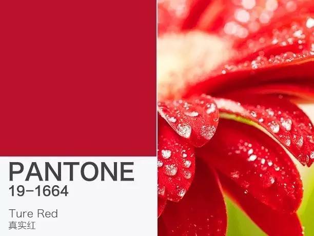 潘通色是彩虹色吗,潘通色卡今年流行色