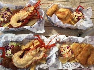 西澳珊瑚海岸3700公里自驾：卡尔巴里-猴子米娅-珊瑚湾-宁加洛珊瑚礁！