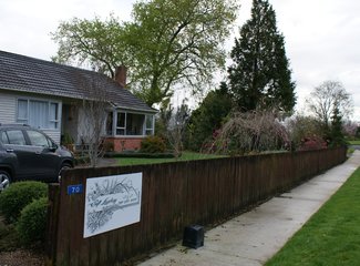 新西兰南岛顺时针逆时针,新西兰四个人游玩大概多少钱