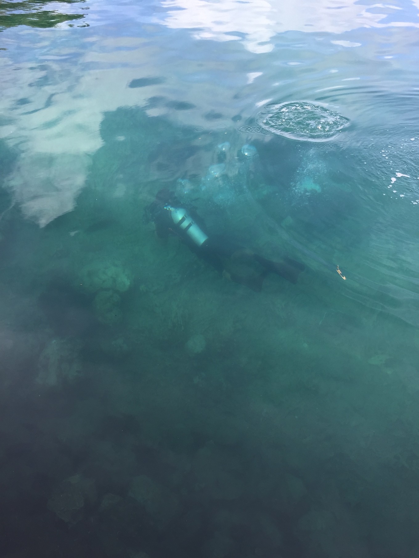 帕劳旅行攻略大全图文,帕劳旅行攻略图文大全