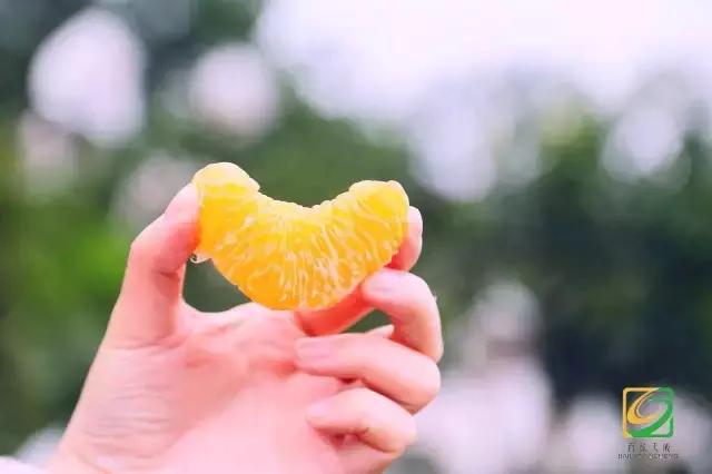 闃冲厜娴翠竴鏃ユ父鏀荤暐,闃冲厜娴翠竴鏃ユ父