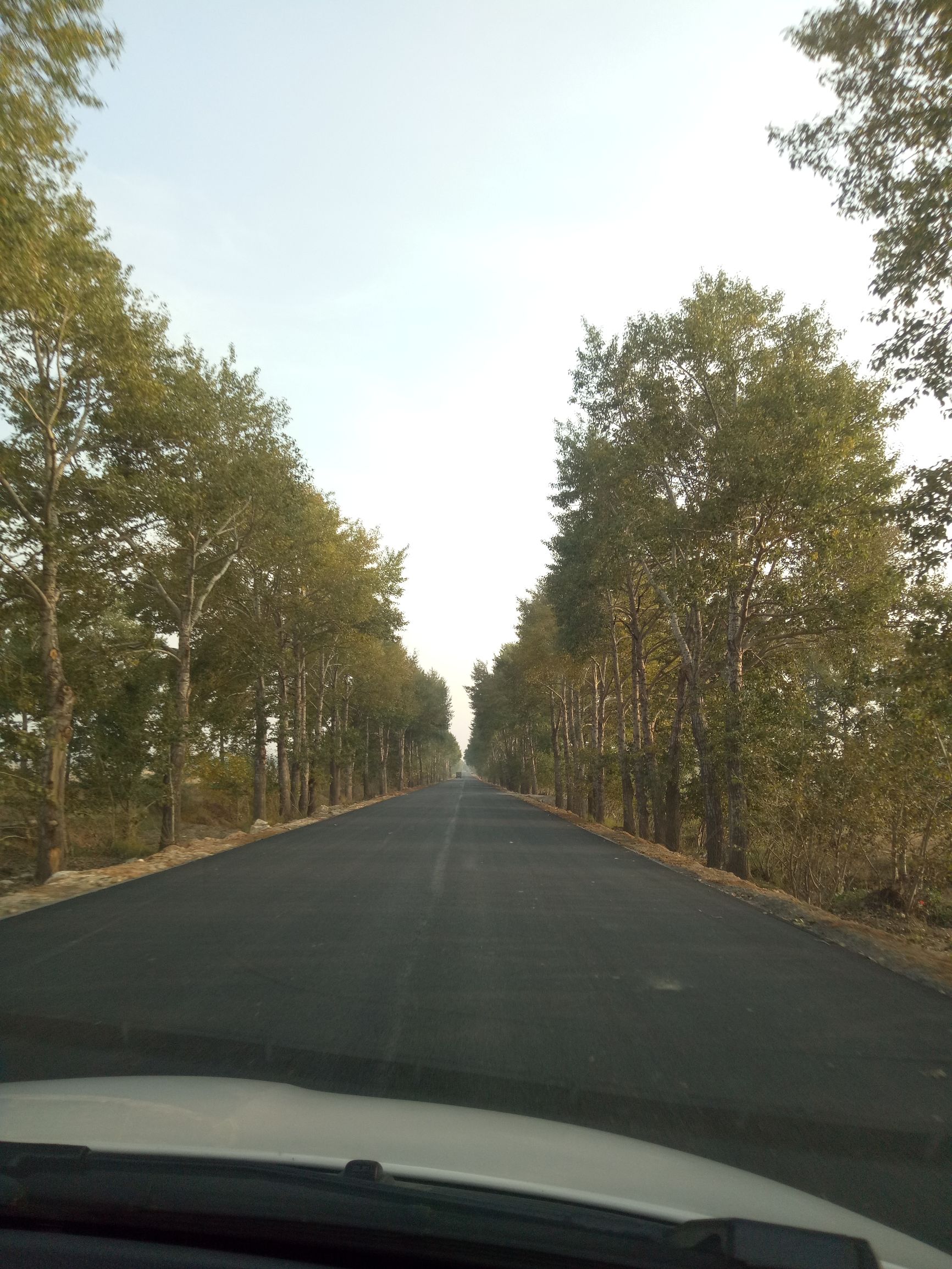 张北的草原天路之旅,张北天路攻略