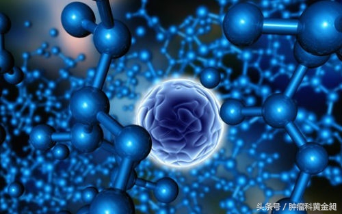 黄金昶中西医肿瘤科查房实录,黄金昶教授治疗肿瘤观点