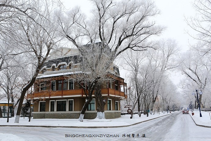 哈尔滨太阳岛的冬天照片,哈尔滨太阳岛的冬天有多美