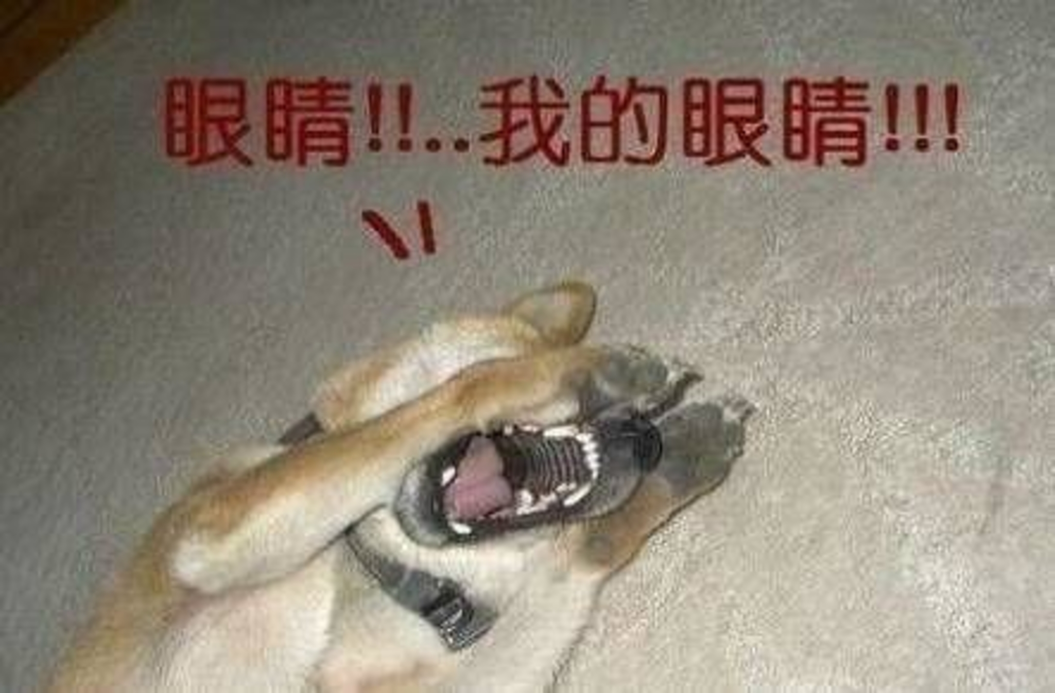 怎么对付后车开远光灯,强光手电对付后车远光灯