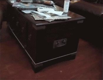 狗狗一拉出去，就收不回来了，怎么破？