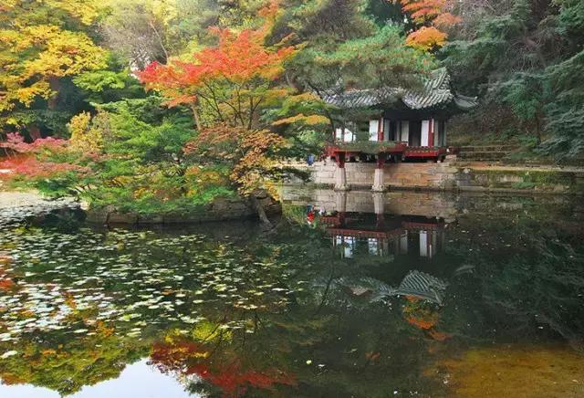欧巴游韩国,济州岛的浪漫之旅
