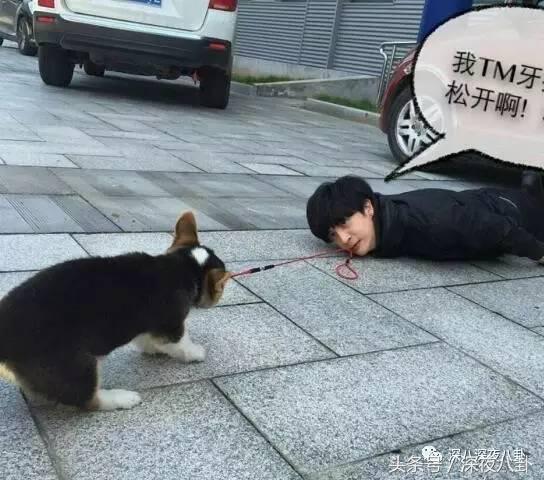 又到一年圣诞节,又到圣诞节了大家怎么看