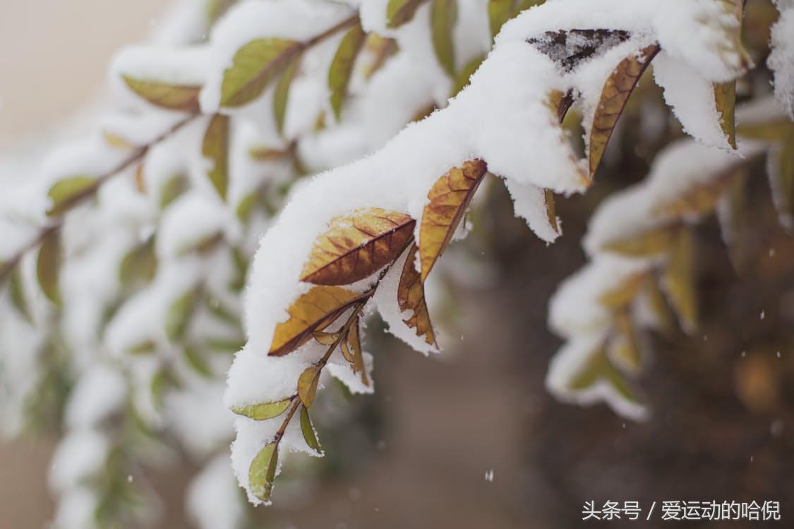 怎么选择合适的篮球鞋尺寸 (锐步more buckets篮球鞋尺码如何选择)