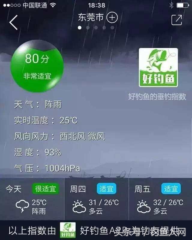 手把手教你串钩钓大鱼,学会钓技钓法