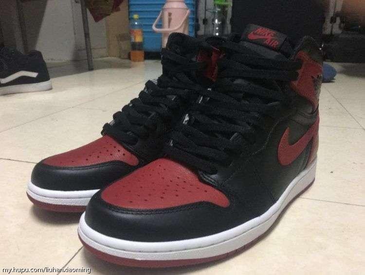 最近收白菜,现在收白菜的视频