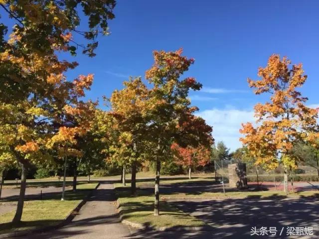 瑞典林雪平大学官网,瑞典林雪平大学