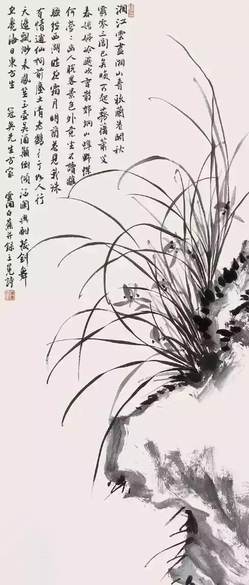 中国十大名家画兰,八大名家画兰花