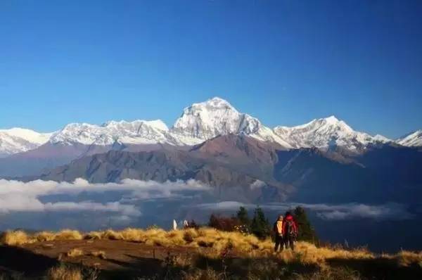 尼泊尔安娜普尔纳大环线act,尼泊尔安纳普尔纳徒步路线