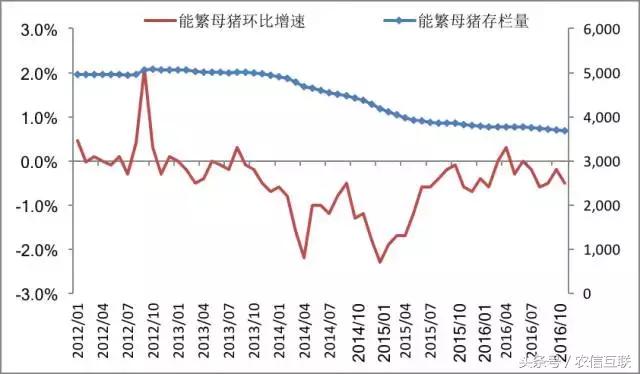 2019下半年猪价还能涨到多少,2019年猪价走势如何