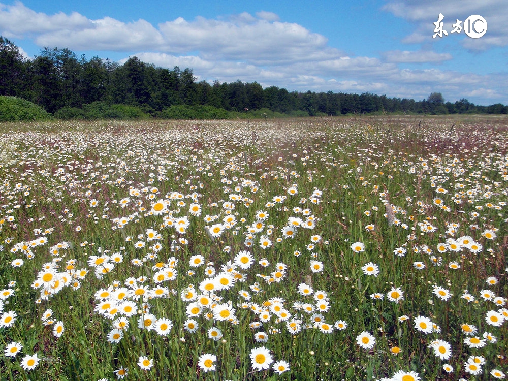 想要发财远离麻将桌,想要致富远离以下这三种人