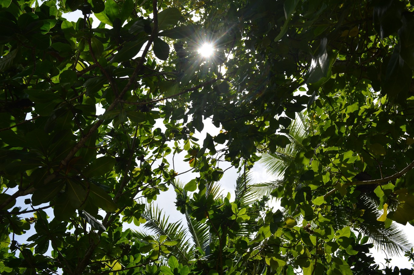 帕劳旅行攻略大全图文,帕劳旅行攻略图文大全