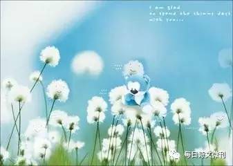 随笔青春的遗憾,随笔青春是一场孤独的盛宴