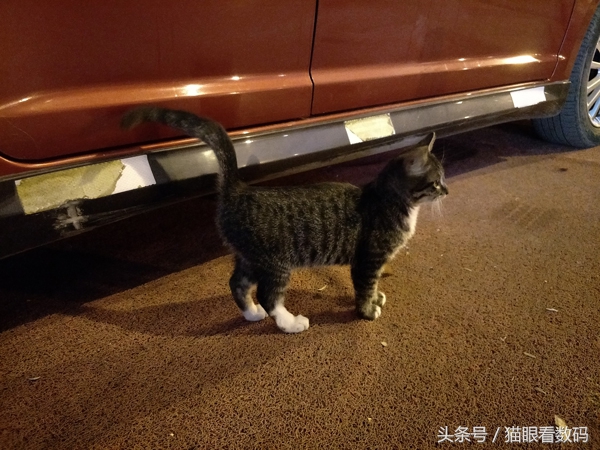 oppor9splus7.1,oppor9splus还值得买吗