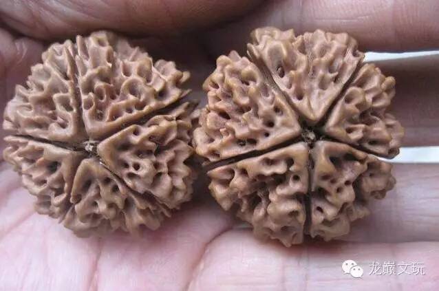 如何辨别金刚落地红,尼泊尔金刚和印尼金刚的区别