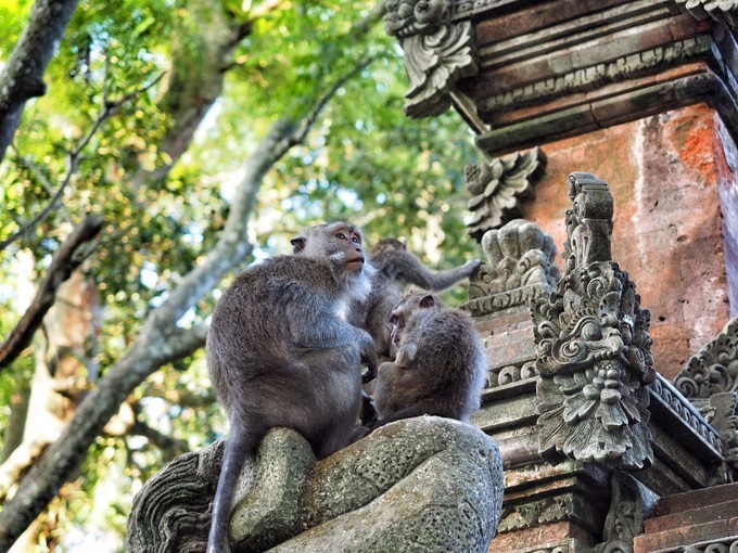 境外游必须知道的5件事,国外旅游骗局套路大全