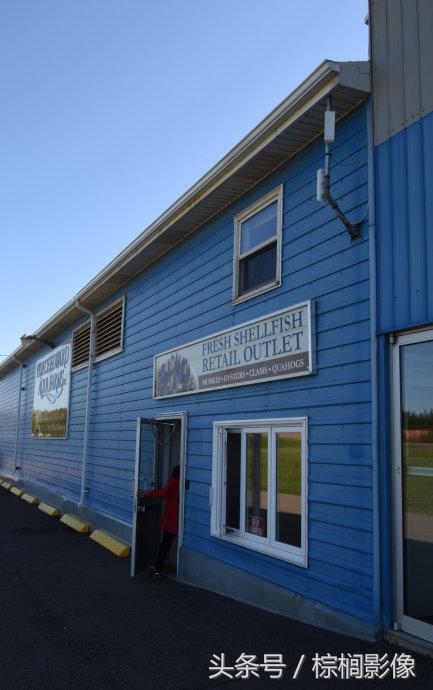 鐖卞痉鍗庣帇瀛愬矝鏈夋病鏈夊畨濡繖涓汉,缁垮北澧欑殑瀹夊Ξ鐖卞痉鍗庣帇瀛愬矝