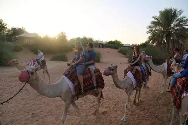 迪拜王子开车去沙漠越野,沙漠越野迪拜沙漠汽车赛