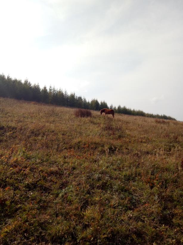 张北天路行,深度还原张北天路