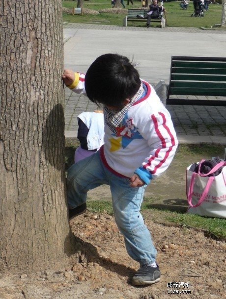 不要再被骗了原版,不要再被骗了完整视频