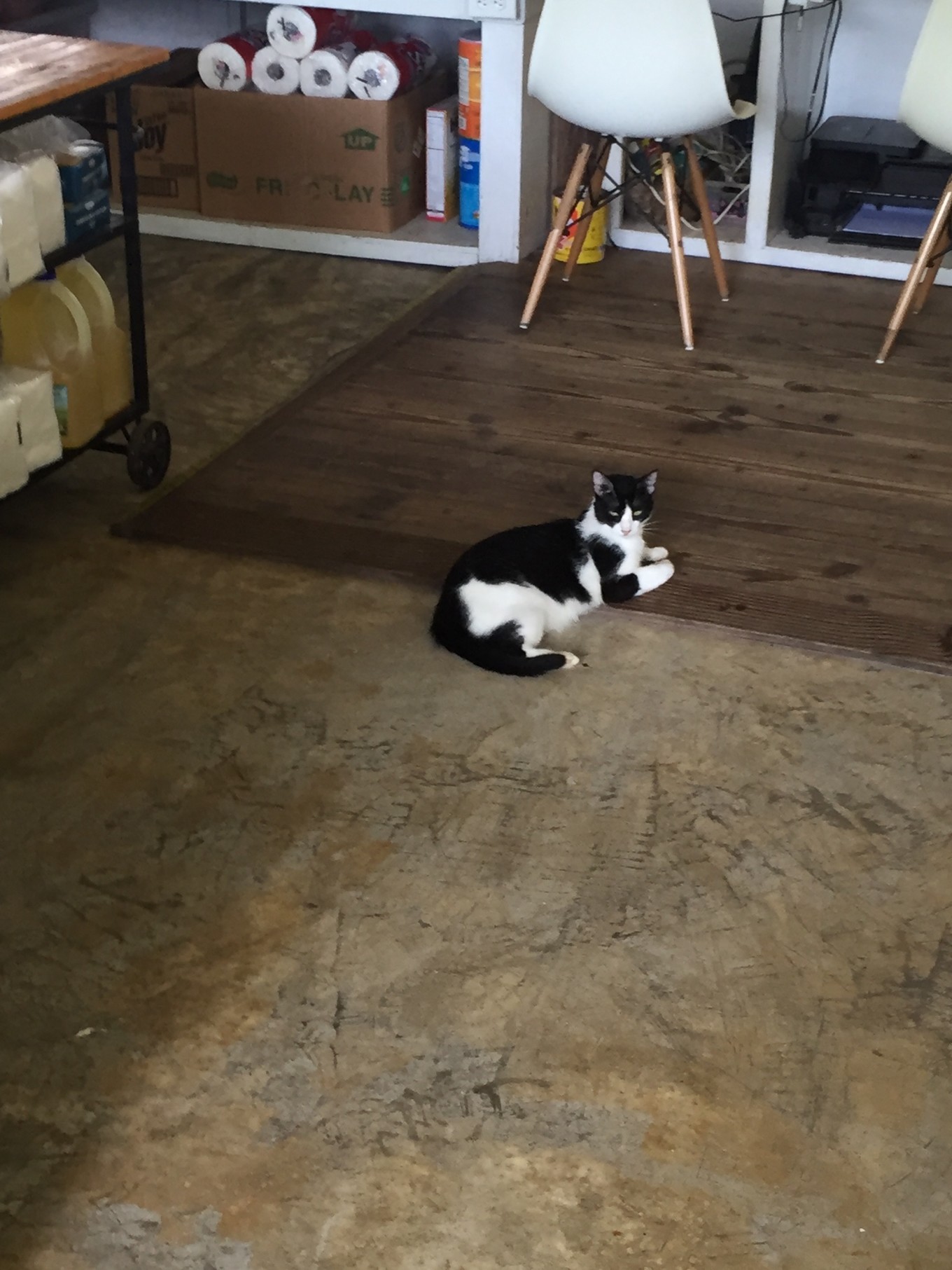 帕劳旅行攻略大全图文,帕劳旅行攻略图文大全