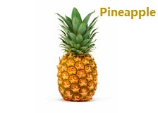 apple苹果的英语是什么,苹果的英语为什么是anapple