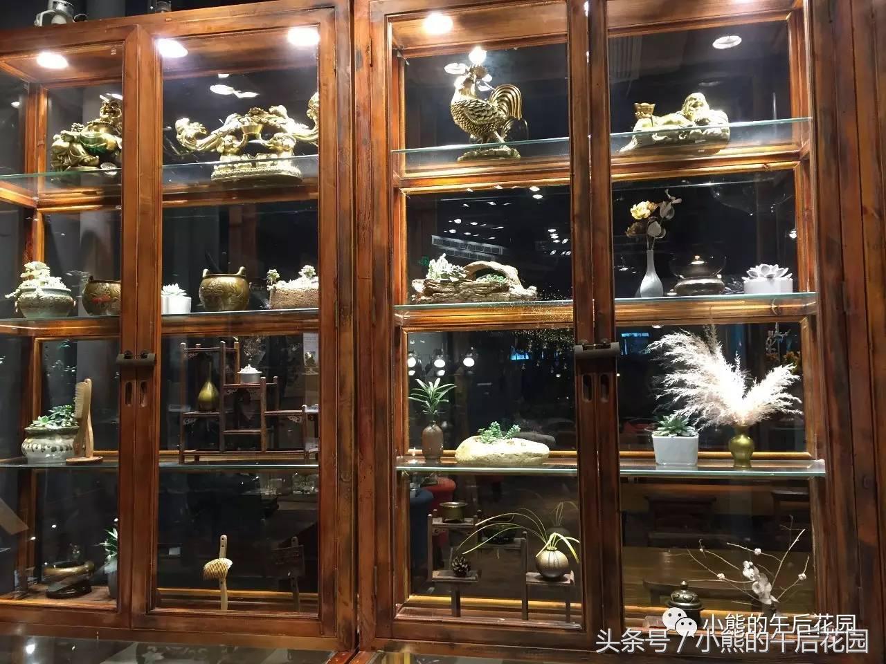 一九九六年历史大事,17年多肉市场变化趋势