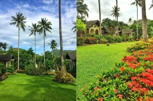 四川帅大叔暴改普吉岛民宿,用时4个月他活出了你最羡慕的样子